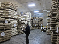 warehouse of green coffee beans